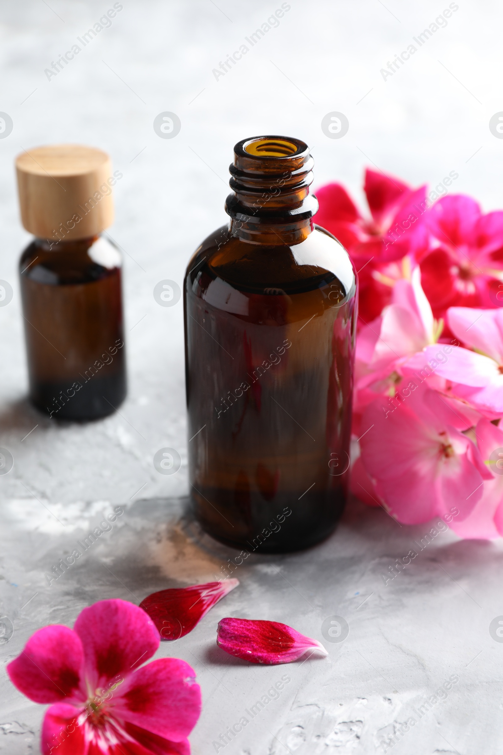 Photo of Bottles of geranium essential oil and beautiful flowers on light grey textured table