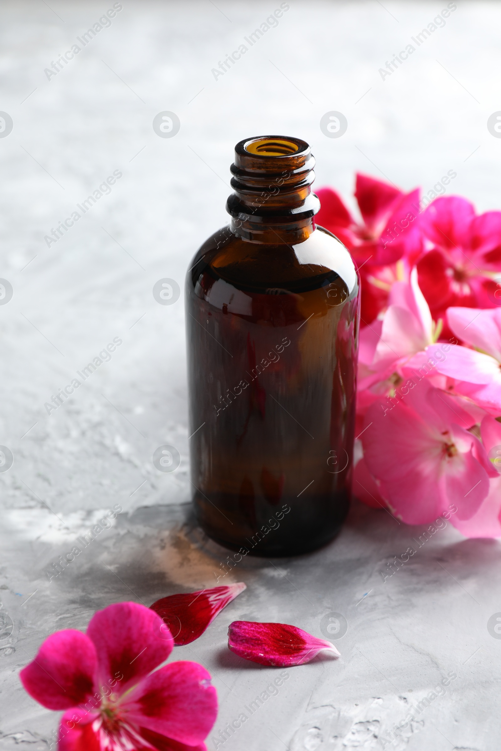 Photo of Bottle of geranium essential oil and beautiful flowers on light grey textured table