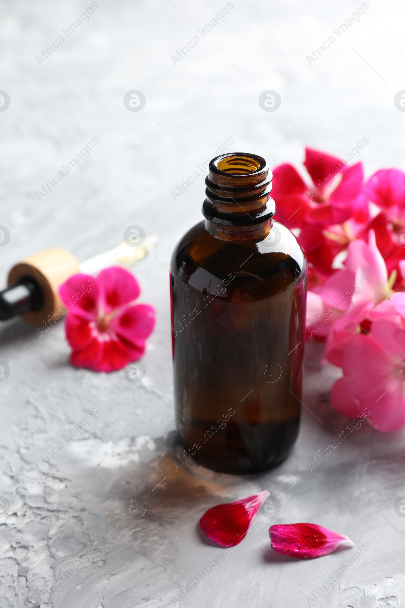 Photo of Bottle of geranium essential oil and beautiful flowers on light grey textured table