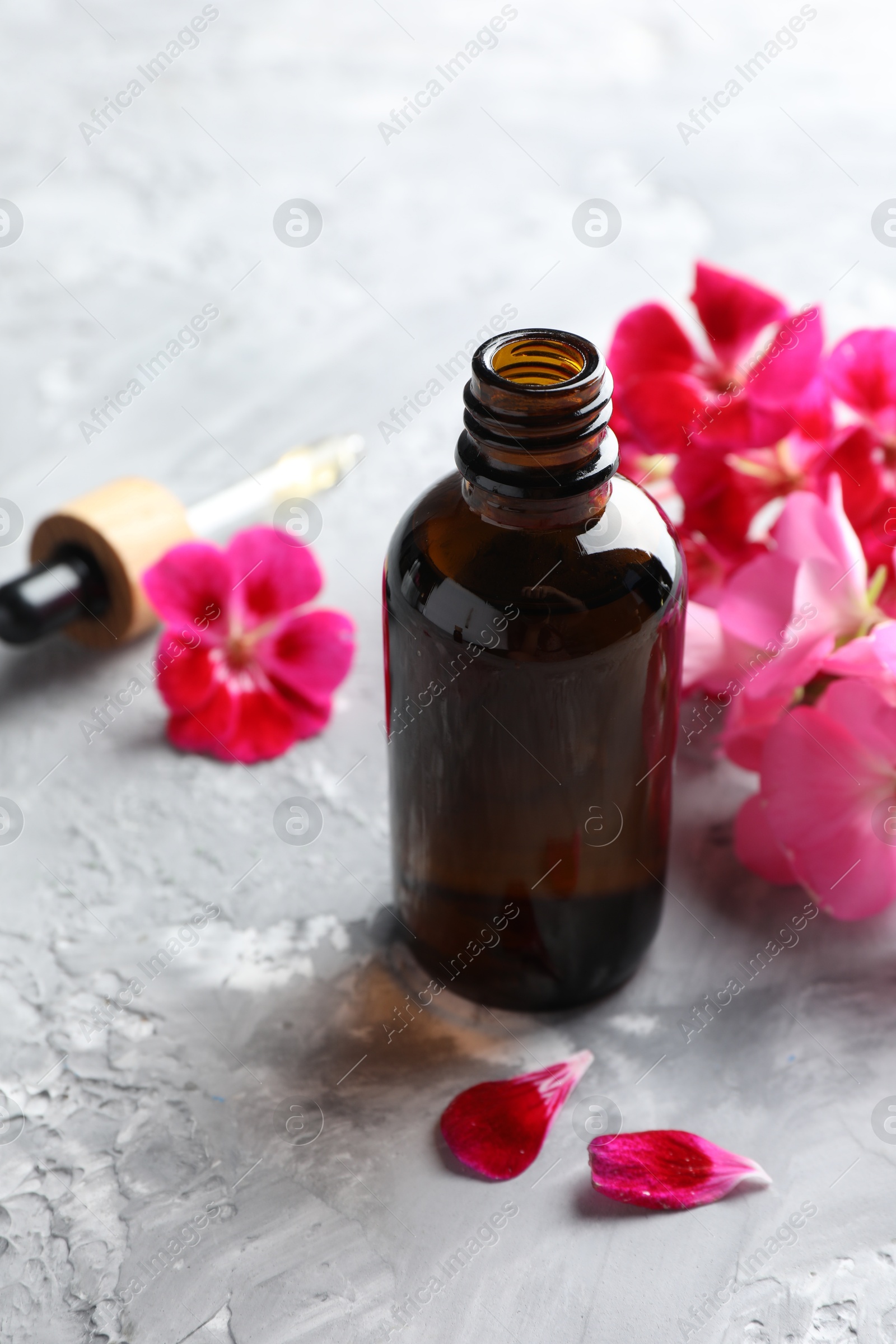 Photo of Bottle of geranium essential oil and beautiful flowers on light grey textured table