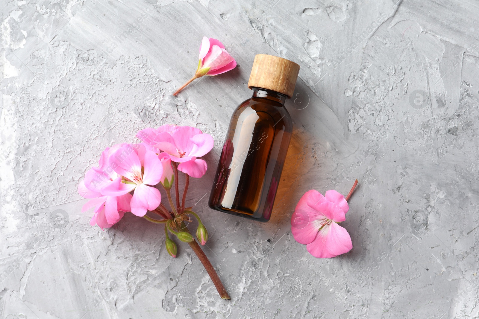 Photo of Bottle of geranium essential oil and beautiful flowers on light grey textured table, flat lay