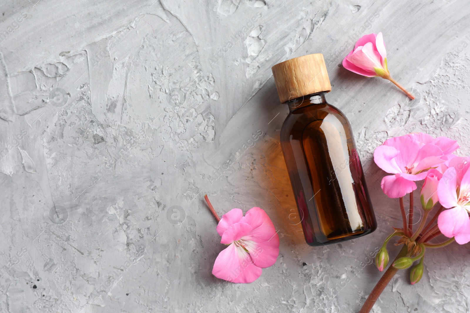 Photo of Bottle of geranium essential oil and beautiful flowers on light grey textured table, flat lay. Space for text