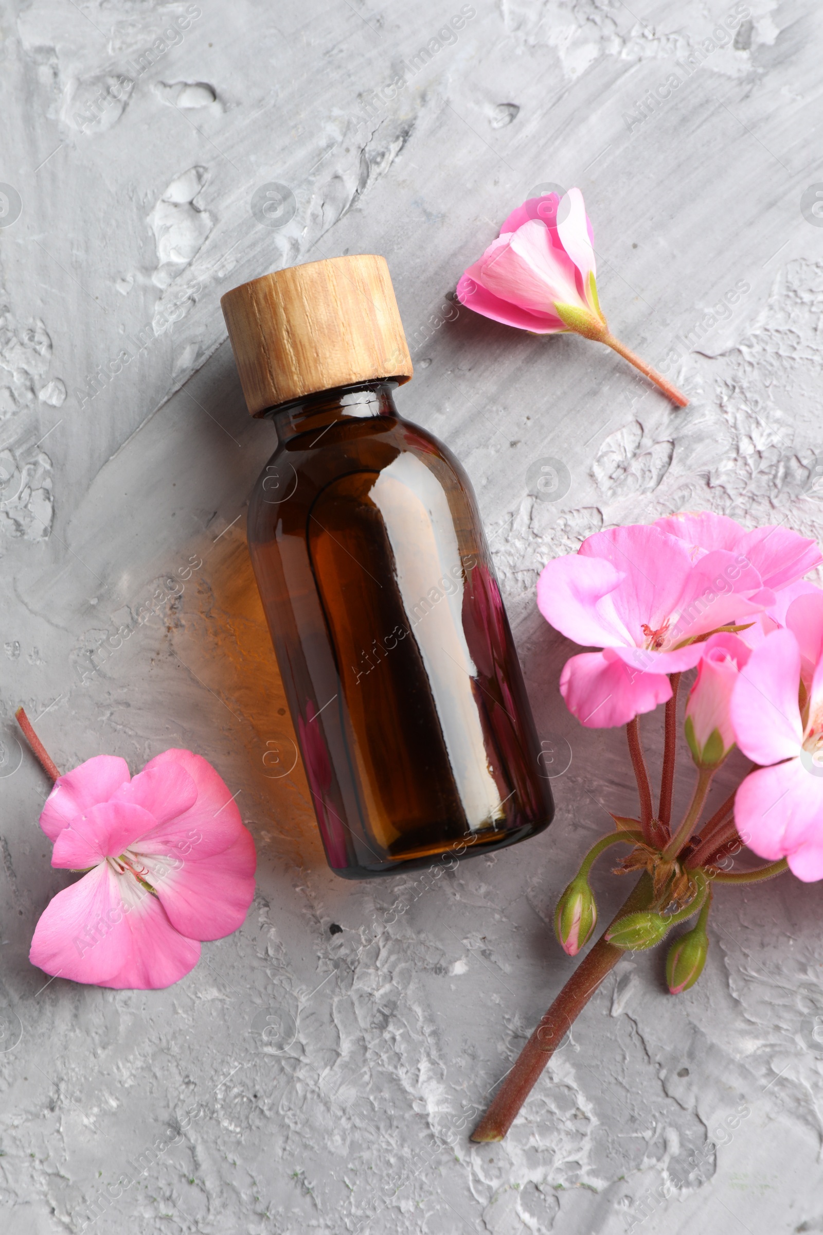 Photo of Bottle of geranium essential oil and beautiful flowers on light grey textured table, flat lay