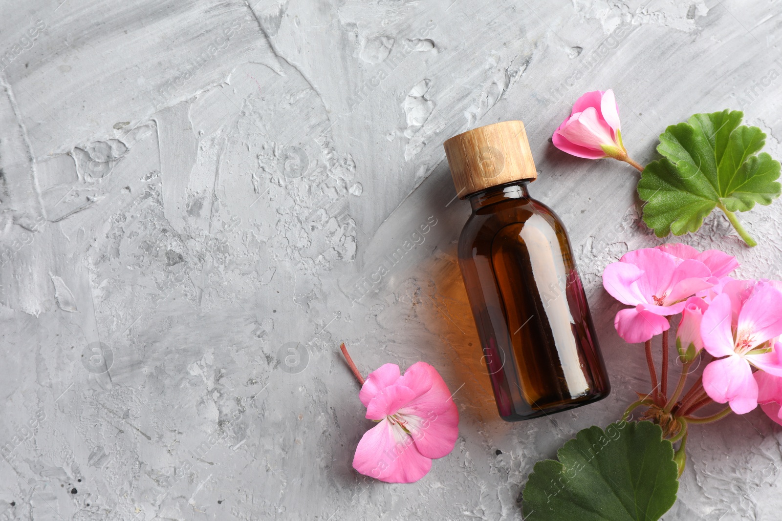 Photo of Bottle of geranium essential oil and beautiful flowers on light grey textured table, flat lay. Space for text