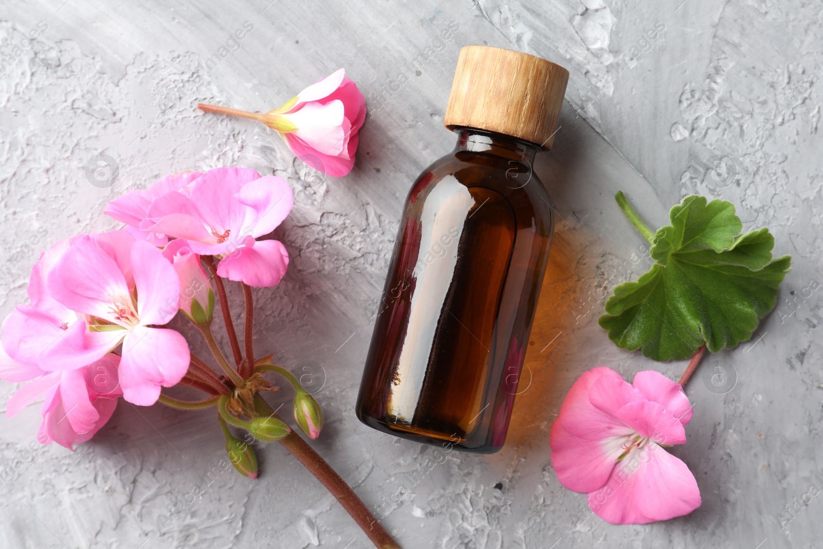 Photo of Bottle of geranium essential oil and beautiful flowers on light grey textured table, flat lay