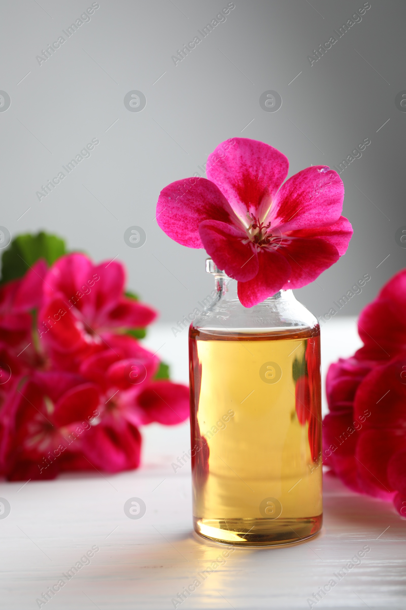 Photo of Bottle of geranium essential oil and beautiful flowers on white wooden table