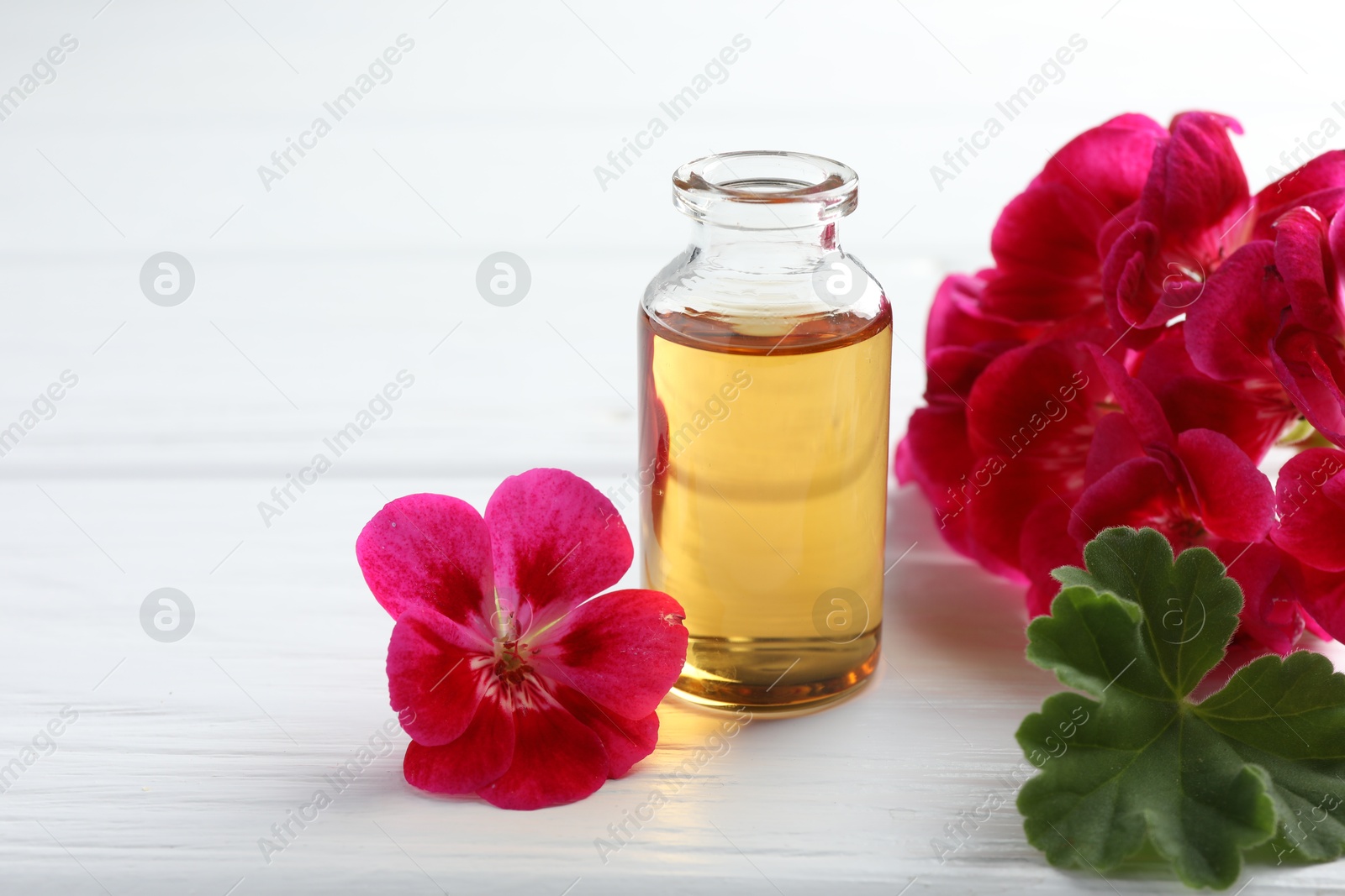 Photo of Bottle of geranium essential oil and beautiful flowers on white wooden table, closeup