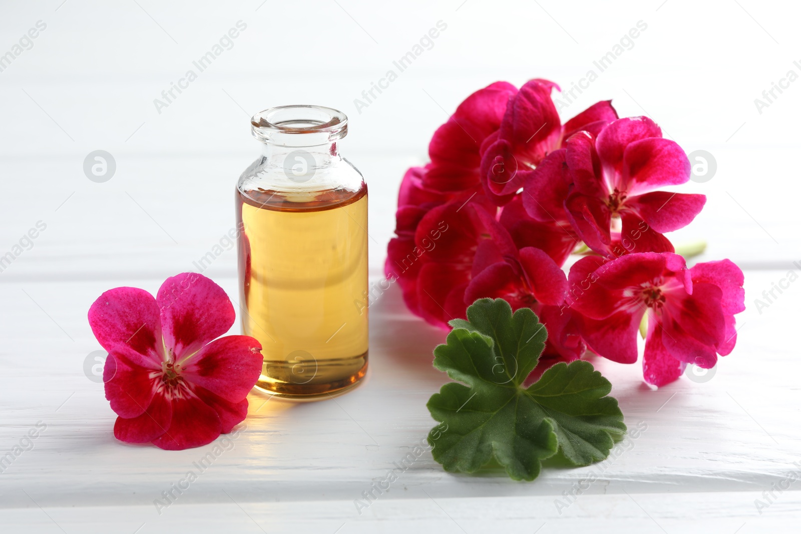 Photo of Bottle of geranium essential oil and beautiful flowers on white wooden table, closeup