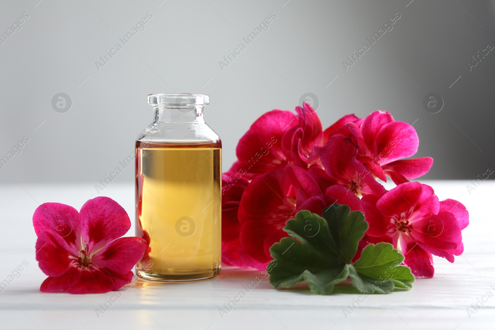 Photo of Bottle of geranium essential oil and beautiful flowers on white wooden table, closeup