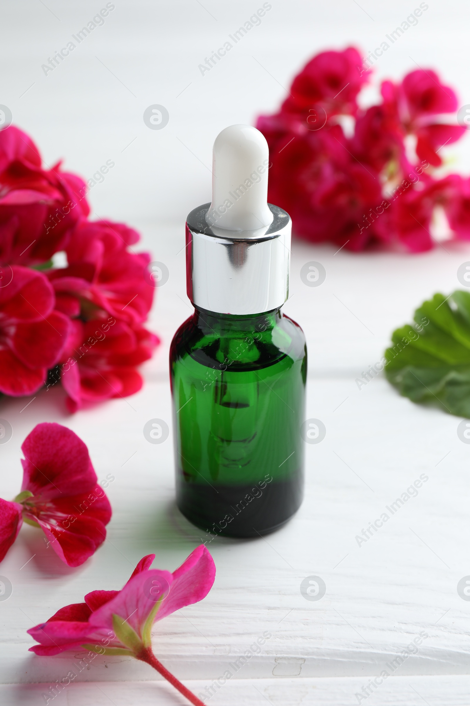 Photo of Bottle of geranium essential oil and beautiful flowers on white wooden table, closeup