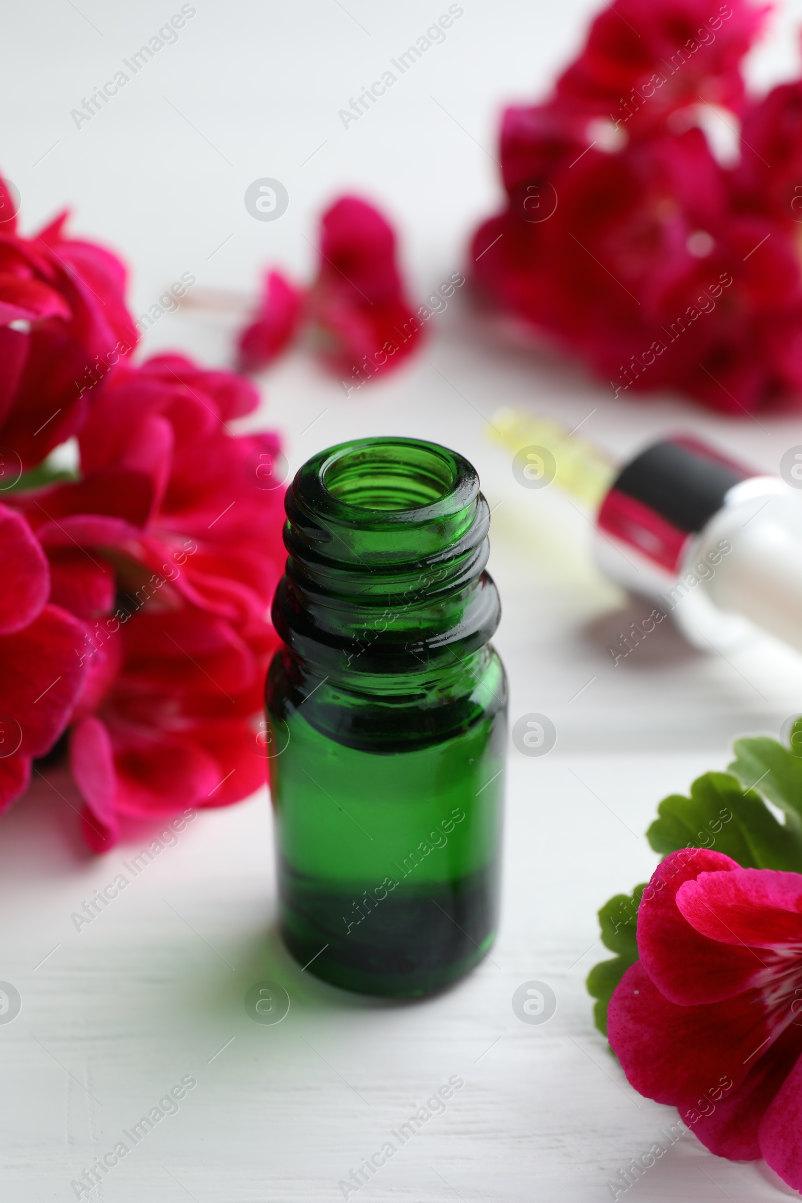 Photo of Bottle of geranium essential oil and beautiful flowers on white wooden table, closeup