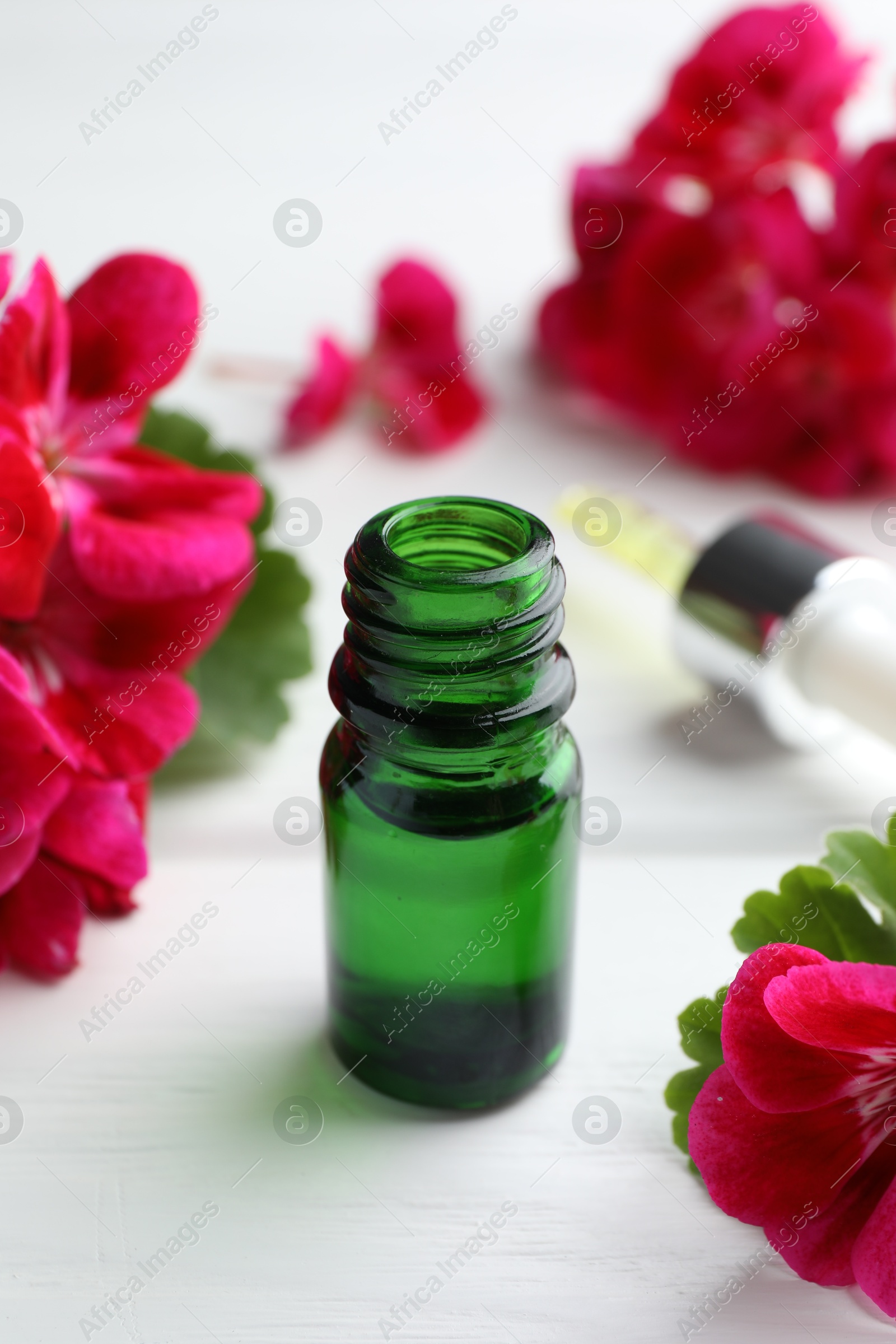 Photo of Bottle of geranium essential oil and beautiful flowers on white wooden table, closeup