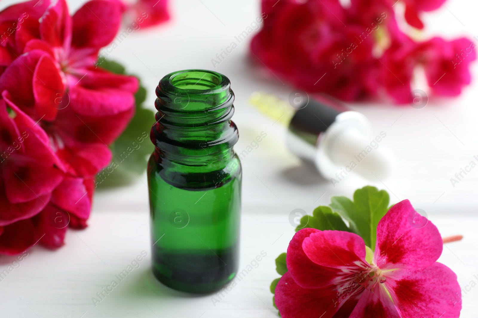 Photo of Bottle of geranium essential oil and beautiful flowers on white wooden table, closeup