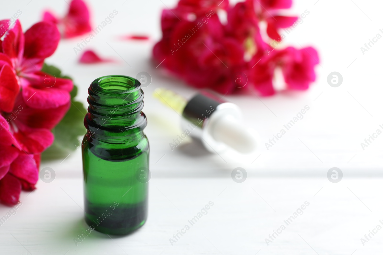 Photo of Bottle of geranium essential oil and beautiful flowers on white wooden table, closeup. Space for text