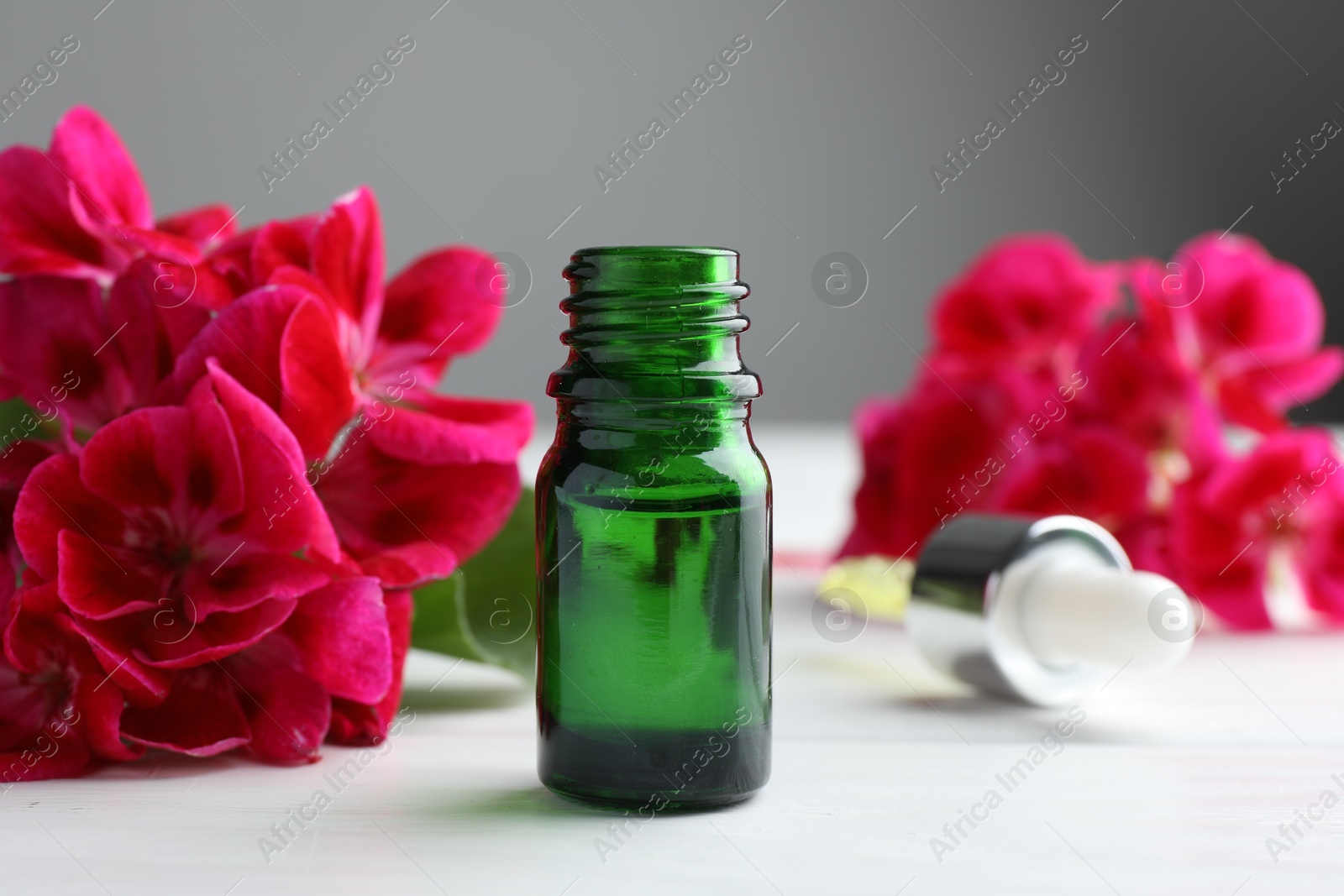 Photo of Bottle of geranium essential oil and beautiful flowers on white wooden table, closeup