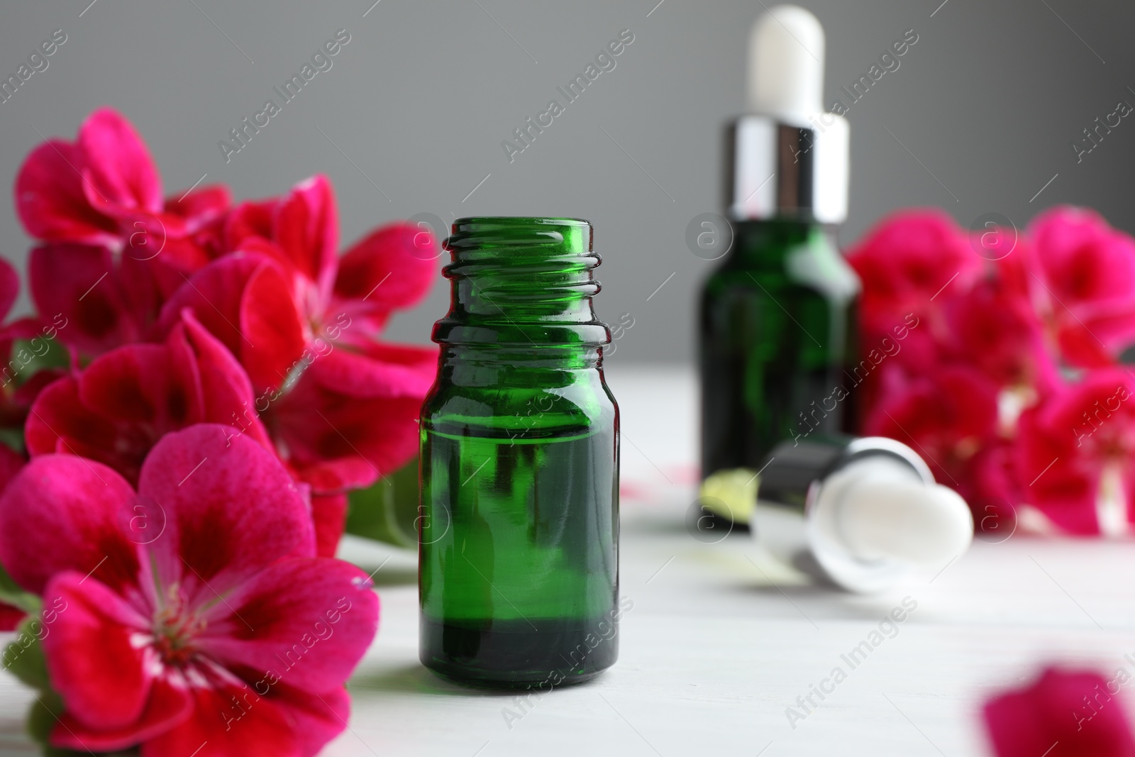 Photo of Bottles of geranium essential oil and beautiful flowers on white wooden table, closeup