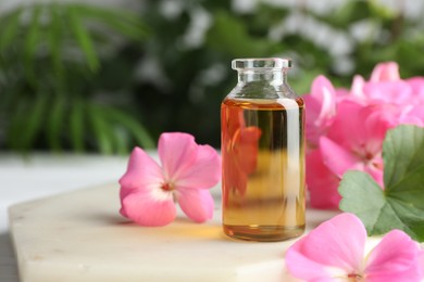 Photo of Bottle of geranium essential oil and beautiful flowers on white table, closeup