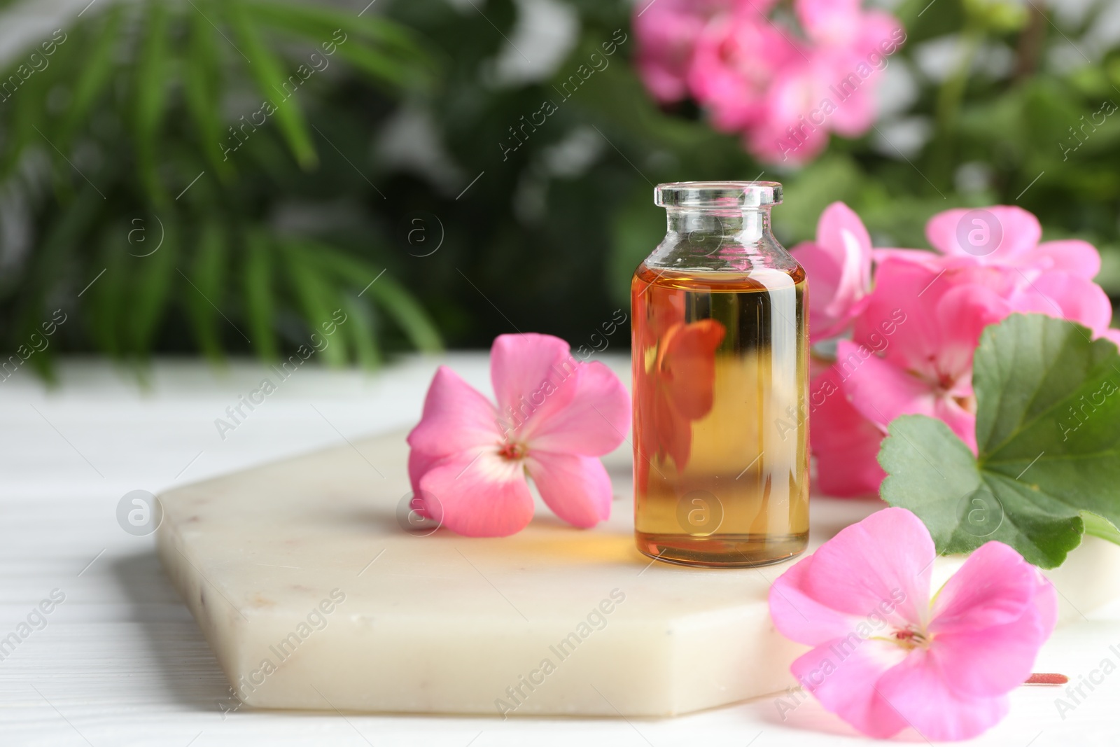 Photo of Bottle of geranium essential oil and beautiful flowers on white table, closeup