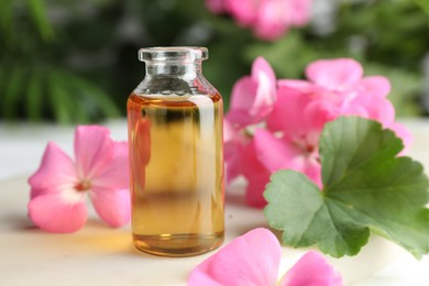 Photo of Bottle of geranium essential oil and beautiful flowers on white table, closeup