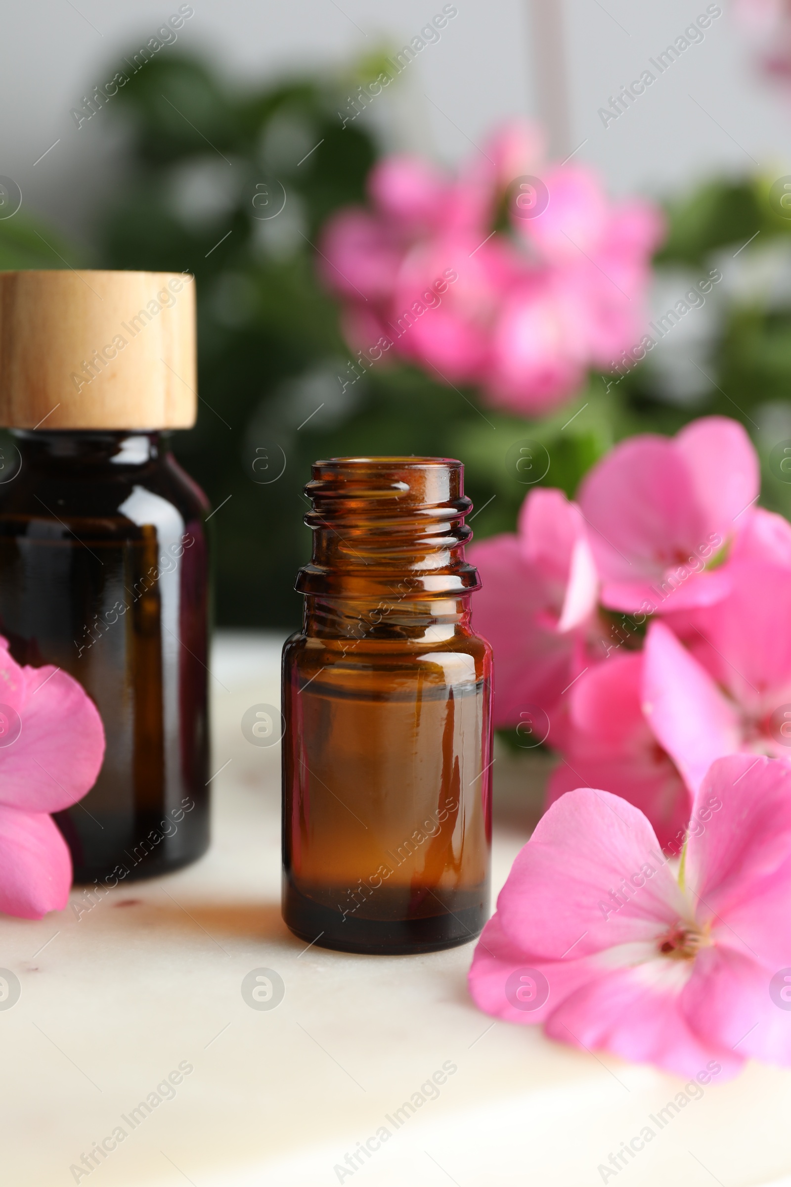 Photo of Bottle of geranium essential oil and beautiful flowers on white table, closeup