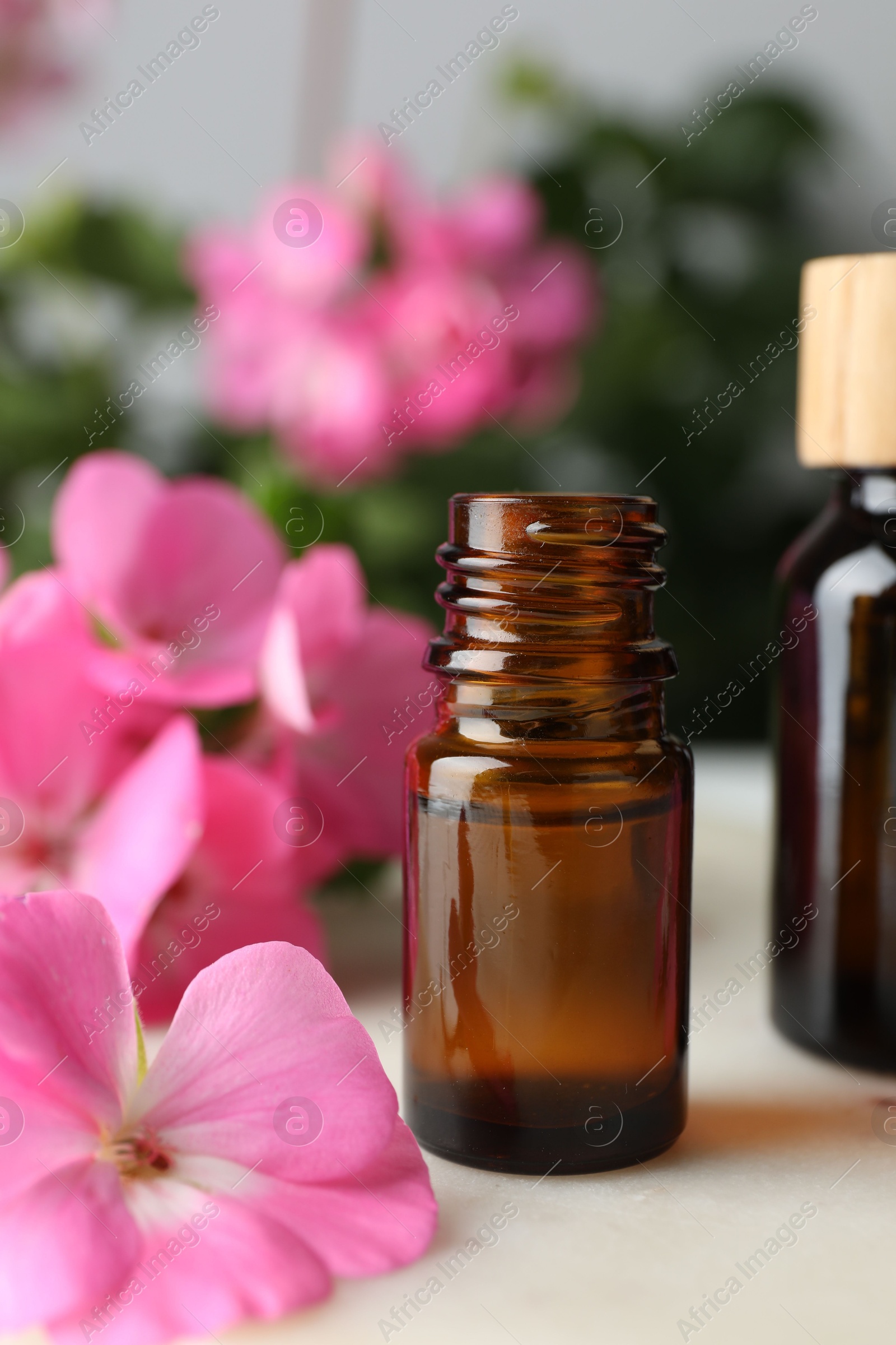 Photo of Bottle of geranium essential oil and beautiful flowers on white table, closeup