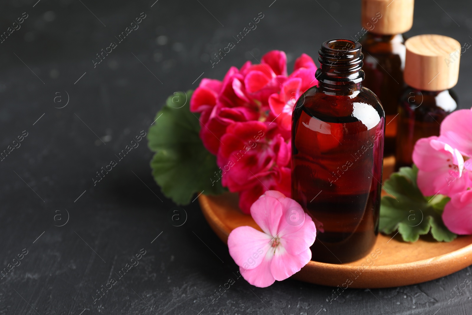 Photo of Bottles of geranium essential oil and beautiful flowers on black table, closeup. Space for text