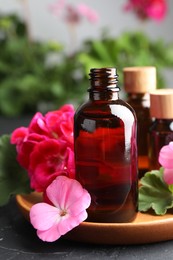 Photo of Bottles of geranium essential oil and beautiful flowers on black table, closeup