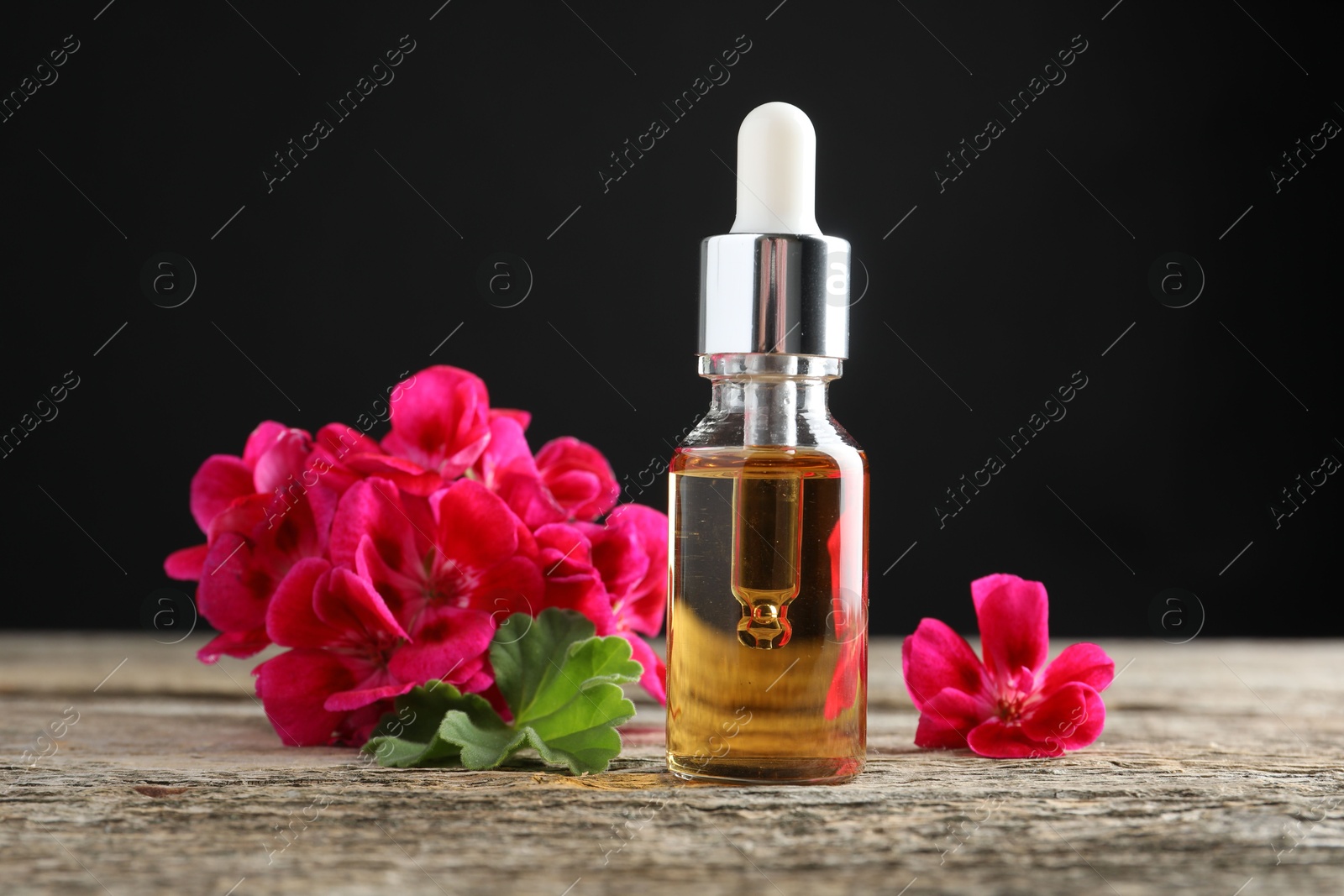 Photo of Bottle of geranium essential oil and beautiful flowers on wooden table, closeup