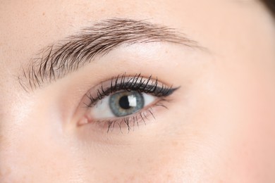 Photo of Young woman before eyebrow correction procedure, closeup