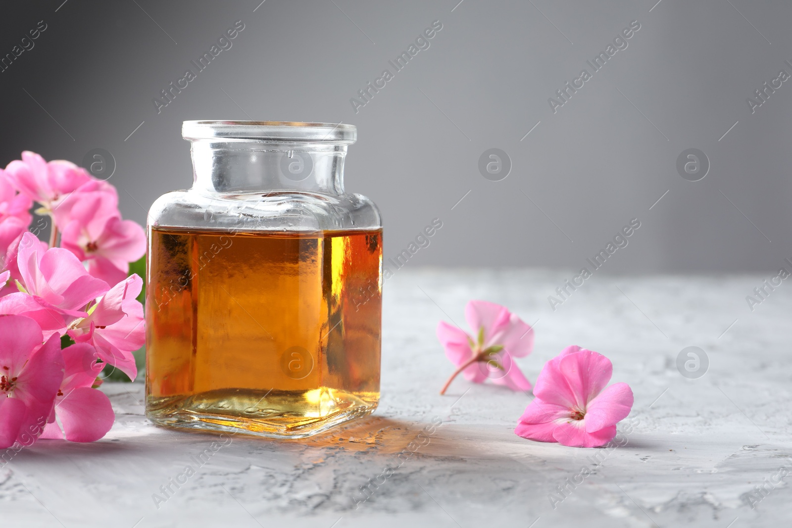 Photo of Bottle of geranium essential oil and beautiful flowers on light grey textured table, closeup. Space for text