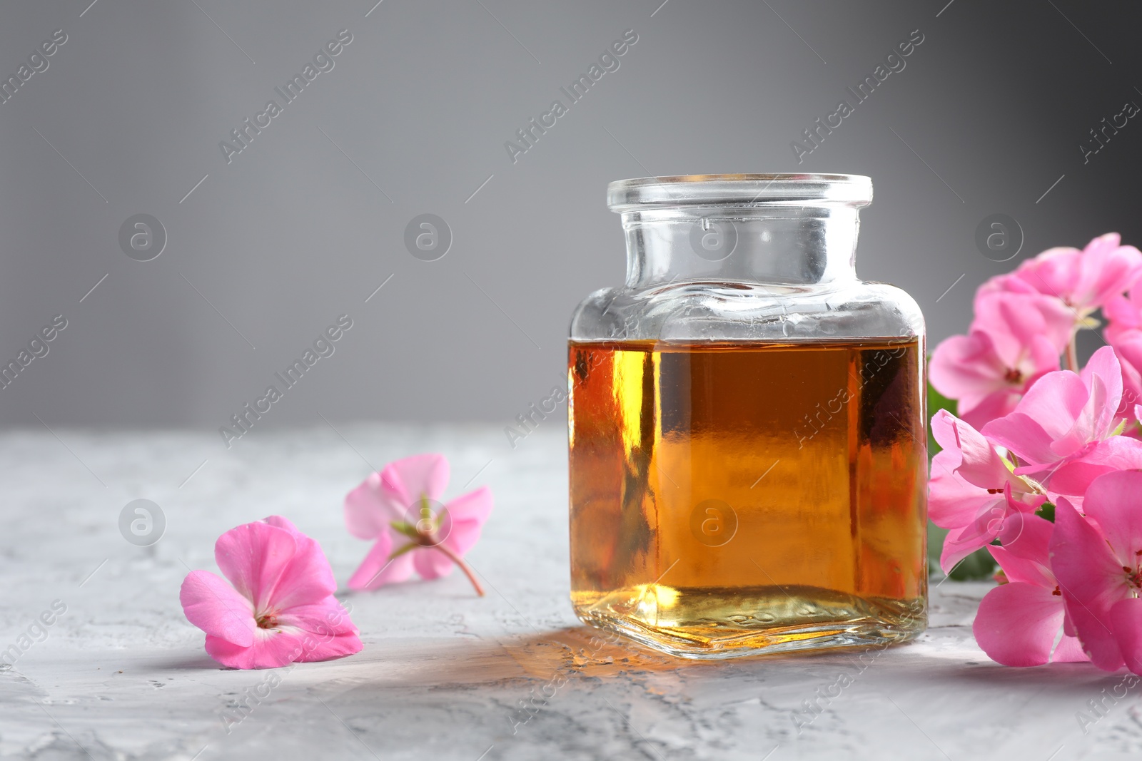 Photo of Bottle of geranium essential oil and beautiful flowers on light grey textured table, closeup. Space for text