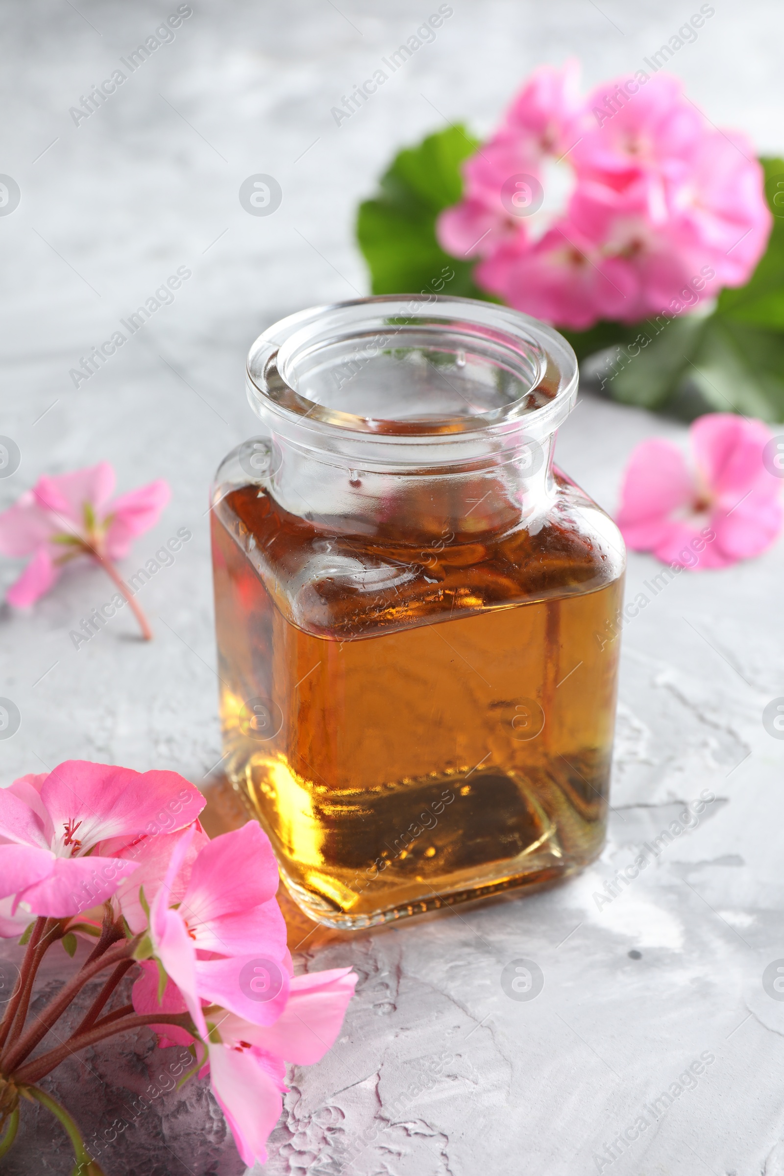 Photo of Bottle of geranium essential oil and beautiful flowers on light grey textured table, closeup