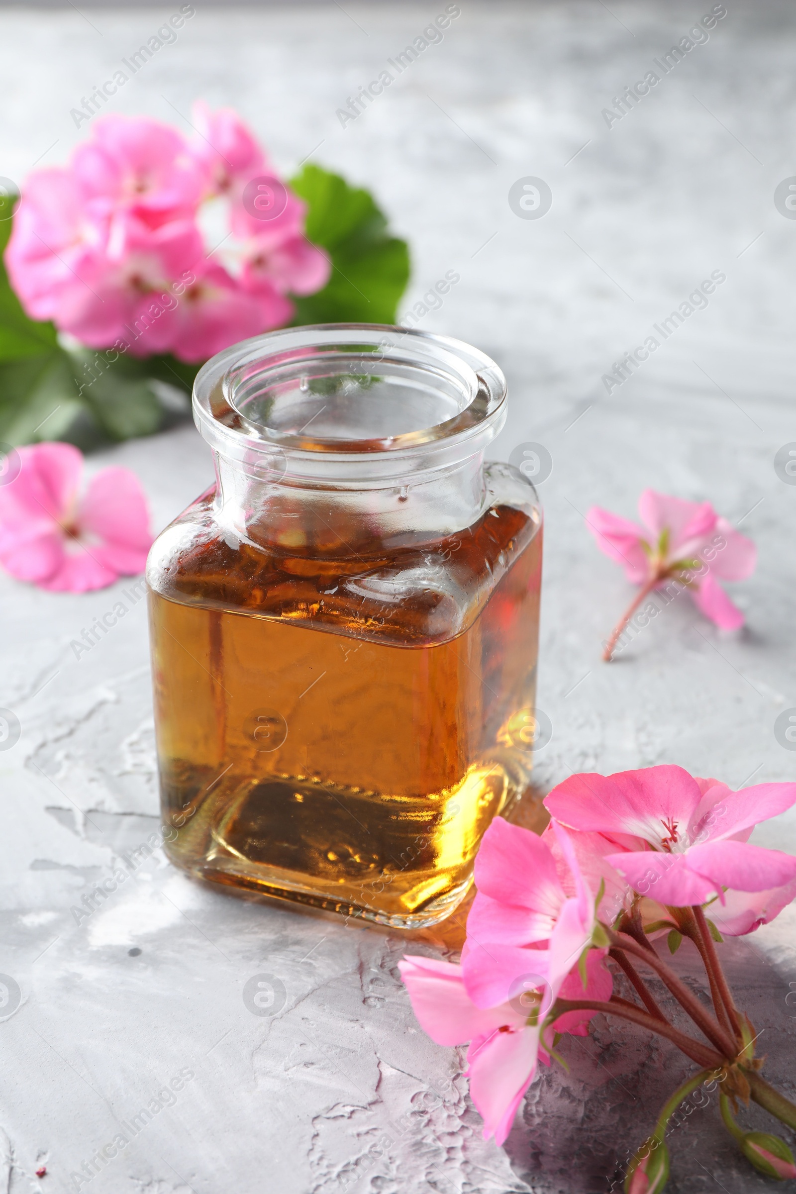 Photo of Bottle of geranium essential oil and beautiful flowers on light grey textured table, closeup