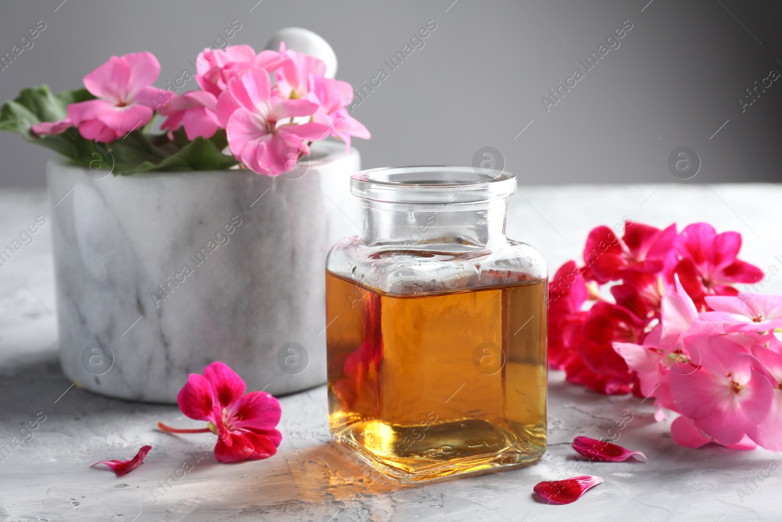 Photo of Geranium essential oil and beautiful flowers on light grey textured table, closeup