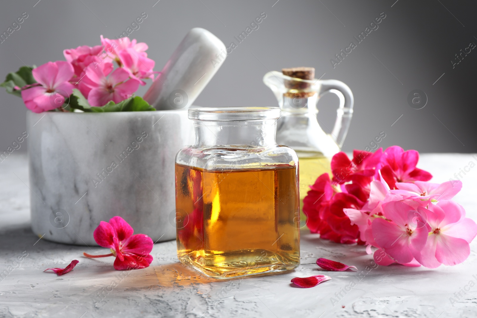 Photo of Geranium essential oil and beautiful flowers on light grey textured table, closeup