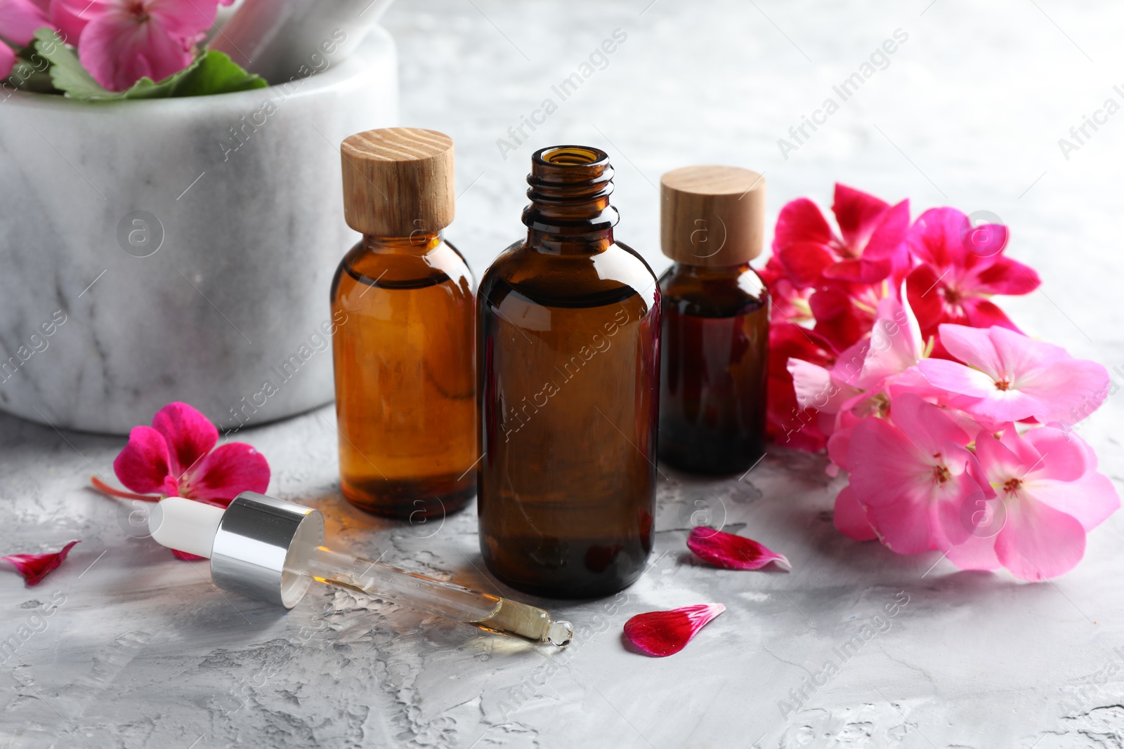 Photo of Geranium essential oil in bottles, pipette and beautiful flowers on light grey textured table