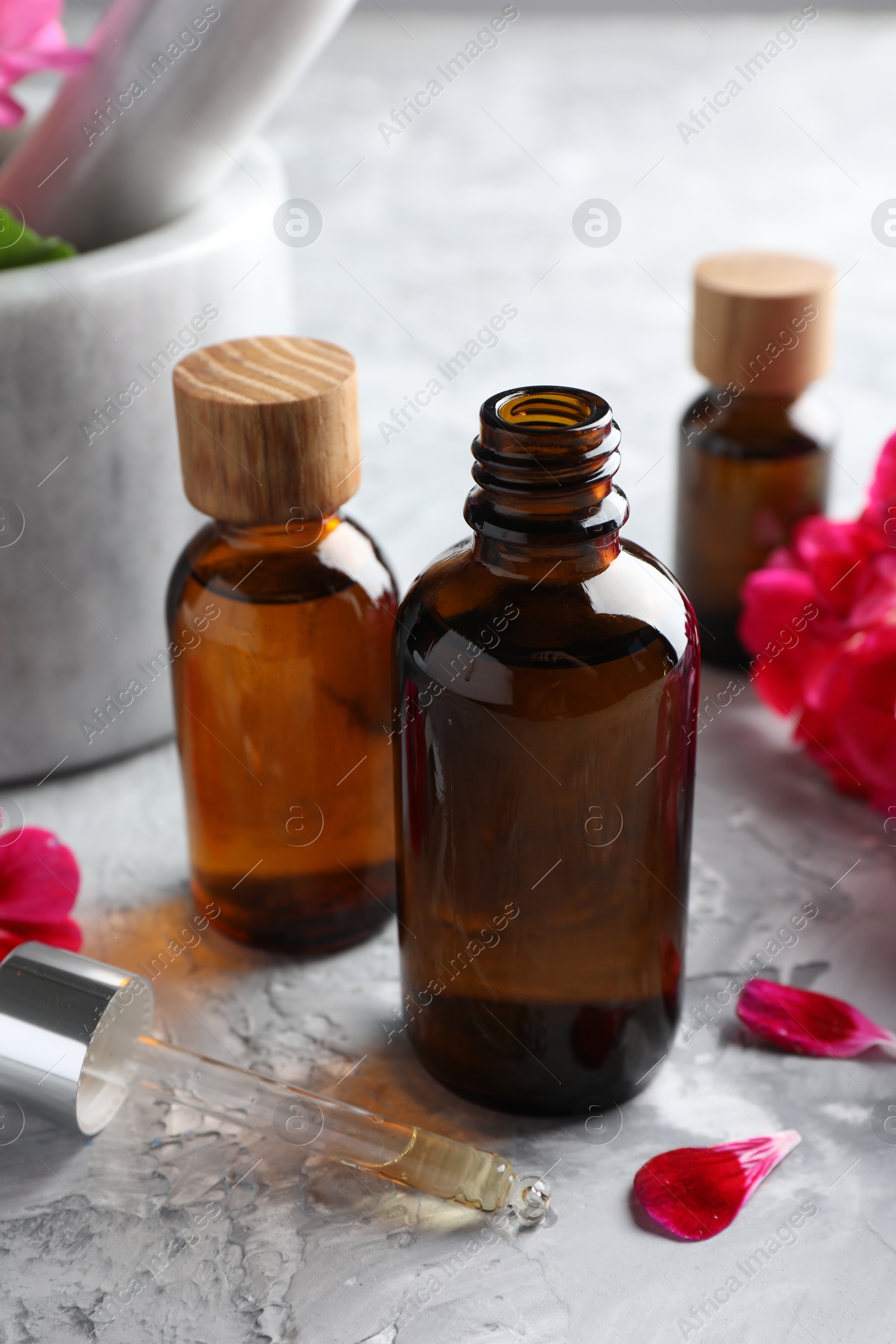 Photo of Geranium essential oil in bottles, pipette and petals on light grey textured table