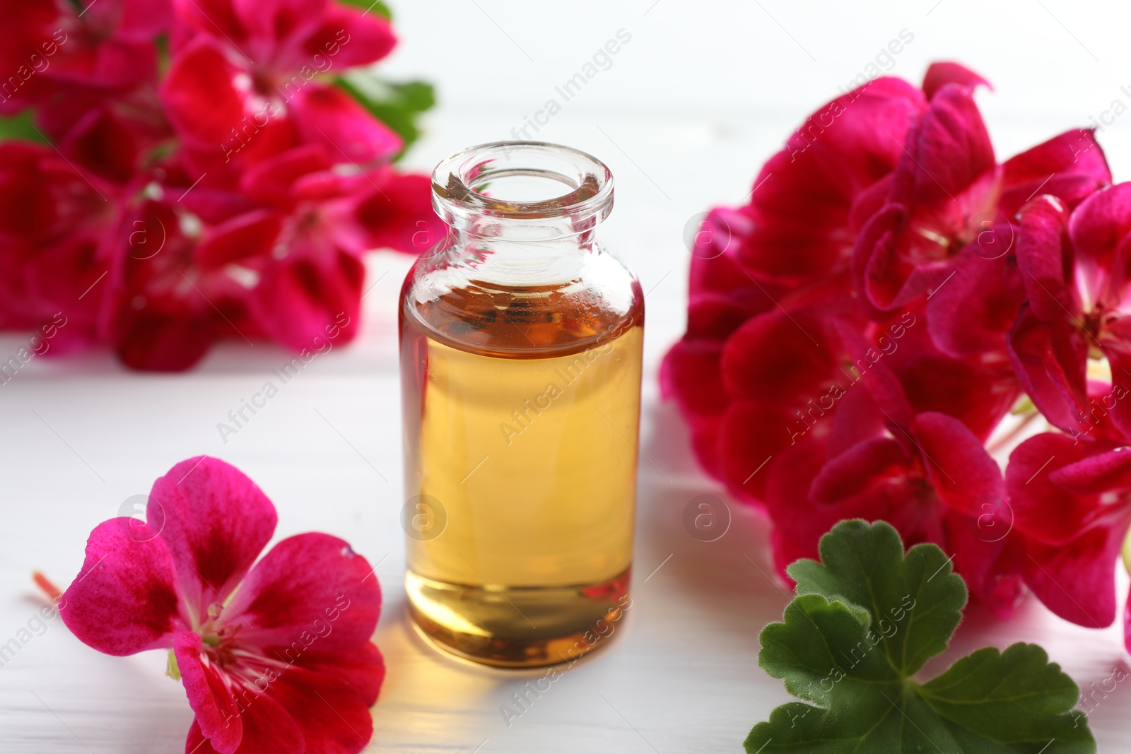 Photo of Bottle of geranium essential oil and beautiful flowers on white wooden table, closeup