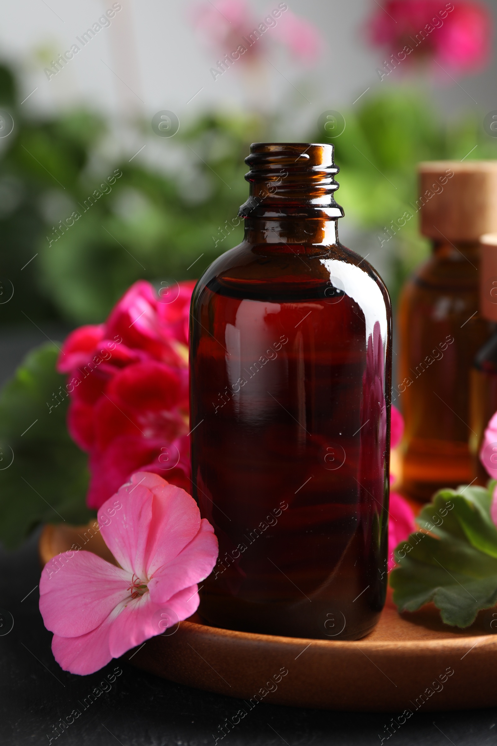 Photo of Bottles of geranium essential oil and beautiful flowers on black table, closeup