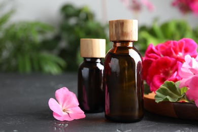 Photo of Bottles of geranium essential oil and beautiful flowers on black table, closeup