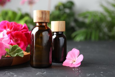 Photo of Bottles of geranium essential oil and beautiful flowers on black table, closeup