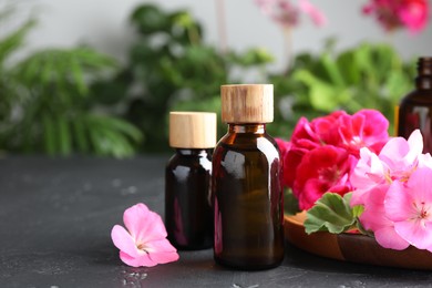 Photo of Bottles of geranium essential oil and beautiful flowers on black table, closeup