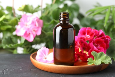 Photo of Bottles of geranium essential oil and beautiful flowers on black table, closeup