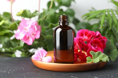 Photo of Bottles of geranium essential oil and beautiful flowers on black table, closeup