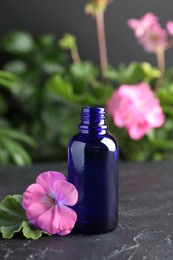 Photo of Bottle of geranium essential oil and beautiful flower on black table