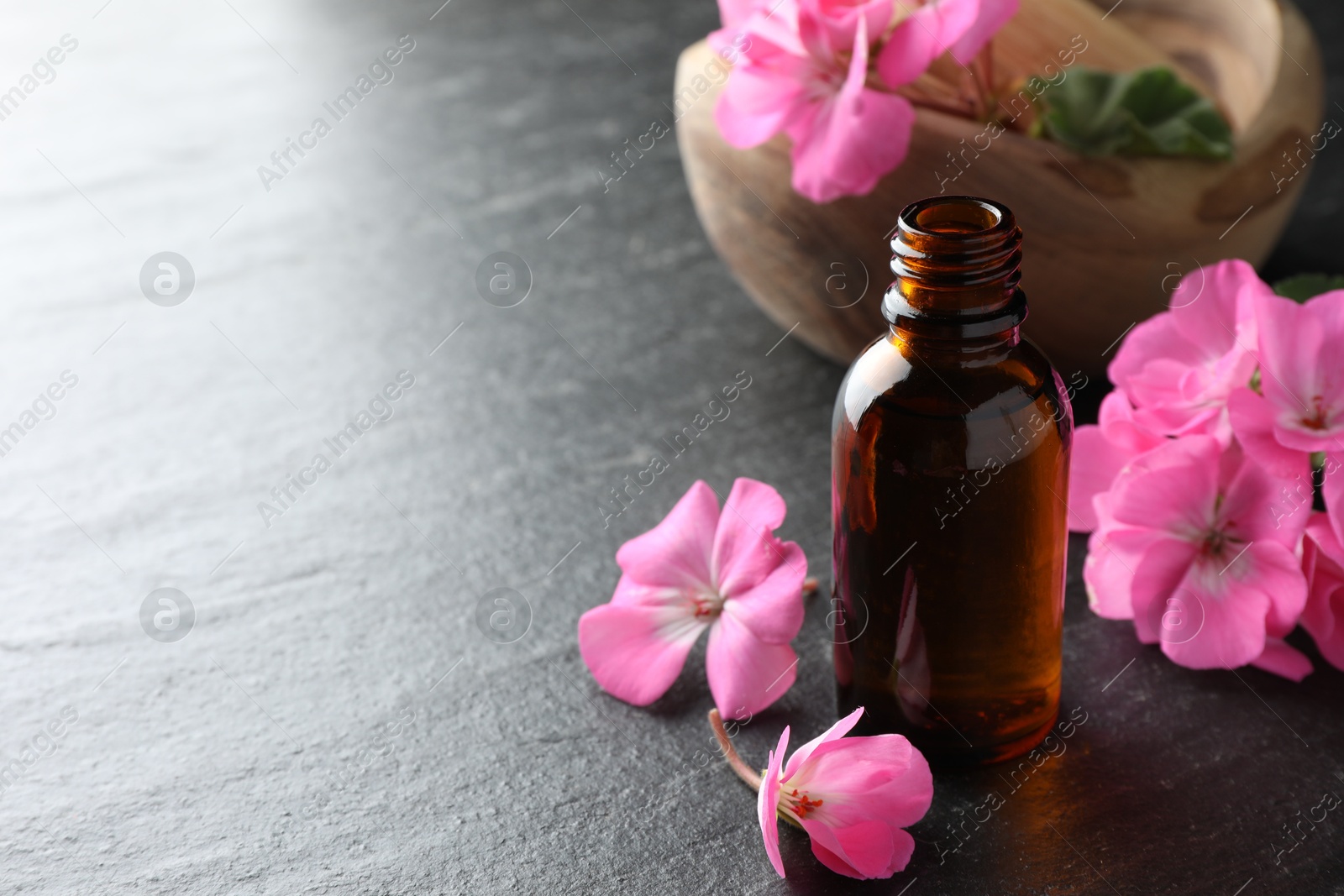 Photo of Bottle of geranium essential oil and beautiful flowers on black table, closeup. Space for text