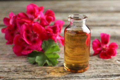 Photo of Bottle of geranium essential oil and beautiful flowers on wooden table, closeup