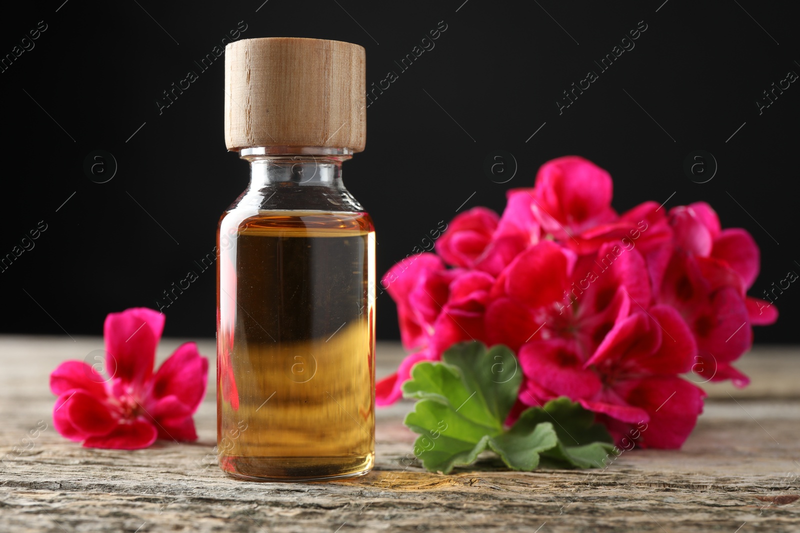 Photo of Bottle of geranium essential oil and beautiful flowers on wooden table, closeup