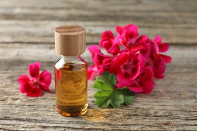 Photo of Bottle of geranium essential oil and beautiful flowers on wooden table, closeup