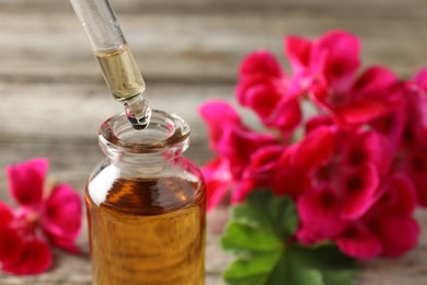 Photo of Geranium essential oil dripping from pipette into bottle on table, closeup